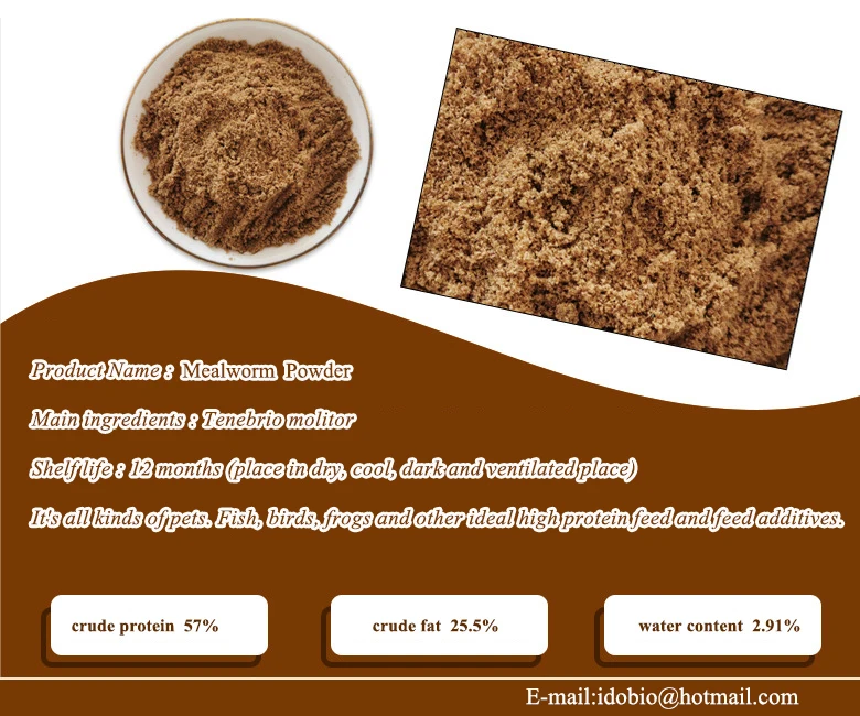 
Pet food Mealworm powder/Dried Mealworm pupa 