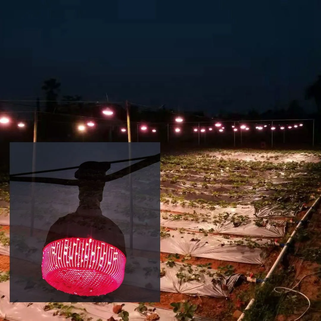 Guangzhou Factory direct sell CE IEC IP65  plant growth lights & Framing/Breeding lamp