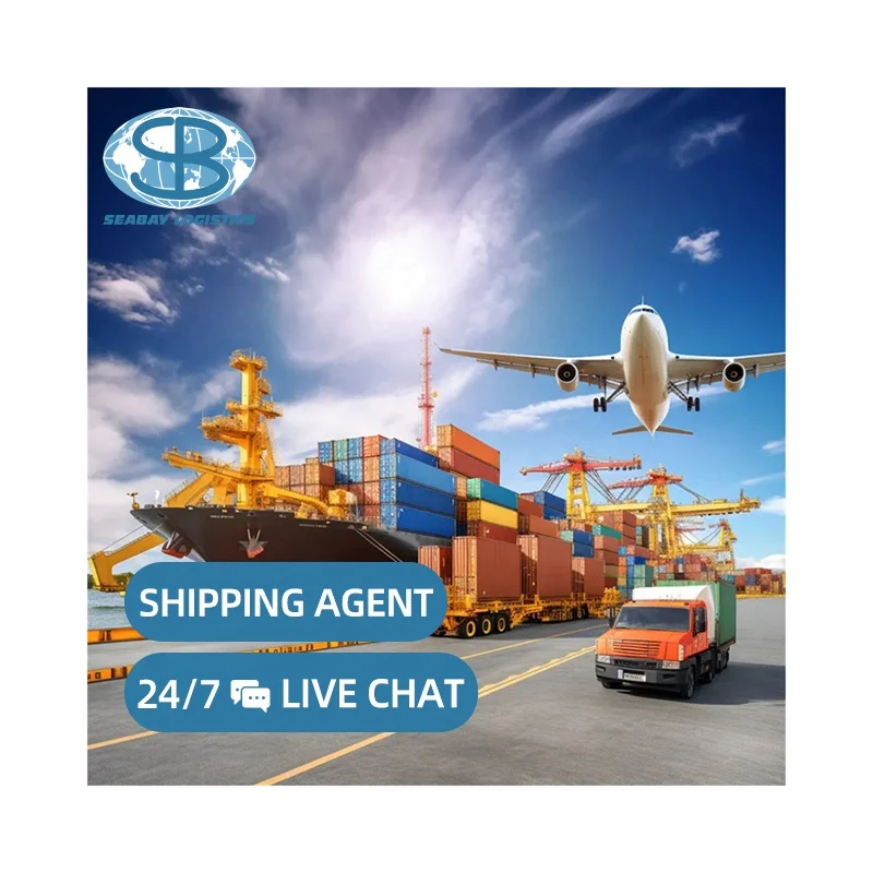 Seabay Freight forwarder cheap shipping agent from china to russia door to door delivery service sea cargo agent