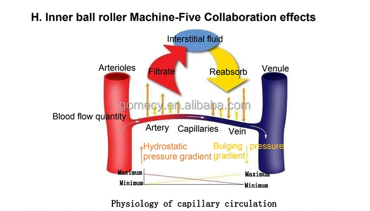 Rotary RF Slim 1 (6).jpg