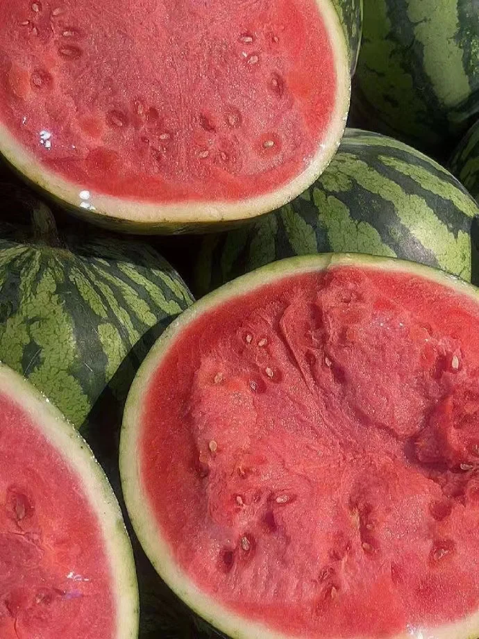 Fresh Watermelon 10kg Seasonal Thin-skinned Large Watermelon Ready to Pick Fresh Fruit Melon Produced in Malaysia