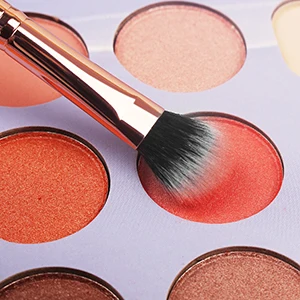 25 Years Manufacturer -Zhengyi Industry OEM/ODM Premium Professional Brushes Makeup 18pcs Cute Makeup Brushes with Case