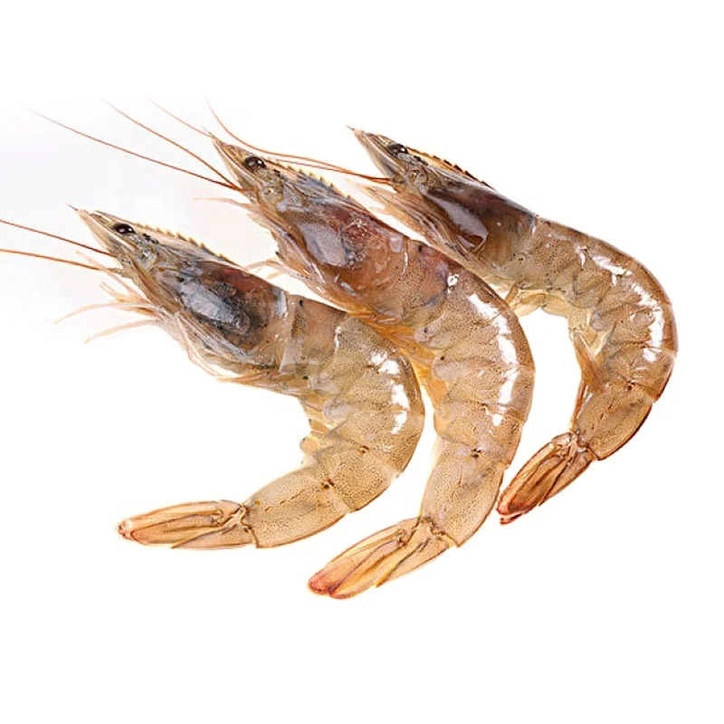 Seafood in Season Newly from Deep Sea Fresh Good Taste High Quality Clean and Soft Batch Price