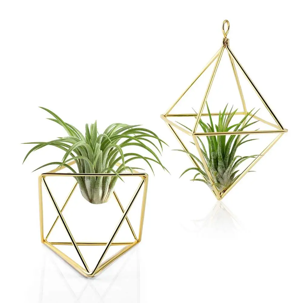 2 PCS Modern Hanging Metal Geometric Air Plant Holder Air Plant Hangers Tillandsia Holder