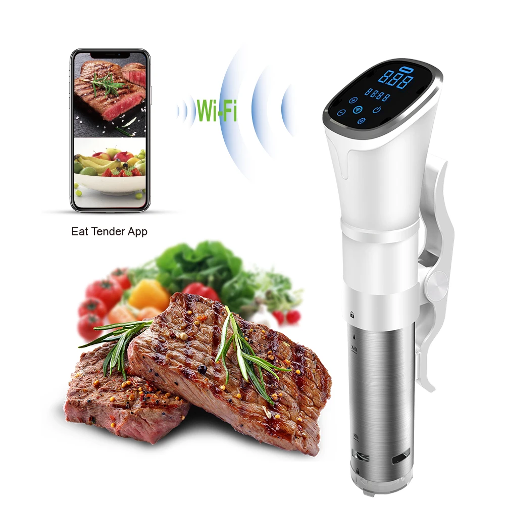 2025 Новый IPX7 водонепроницаемый Электрический цифровой таймер управления Sous Vide погружной циркулятор Медленная Плита wifi Tuya