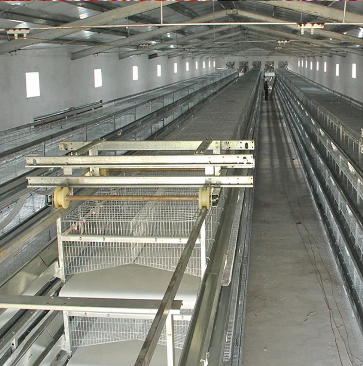 Farm Chicken Cage Wood Chicken Cage Coops Plastic Transport Chicken Cages