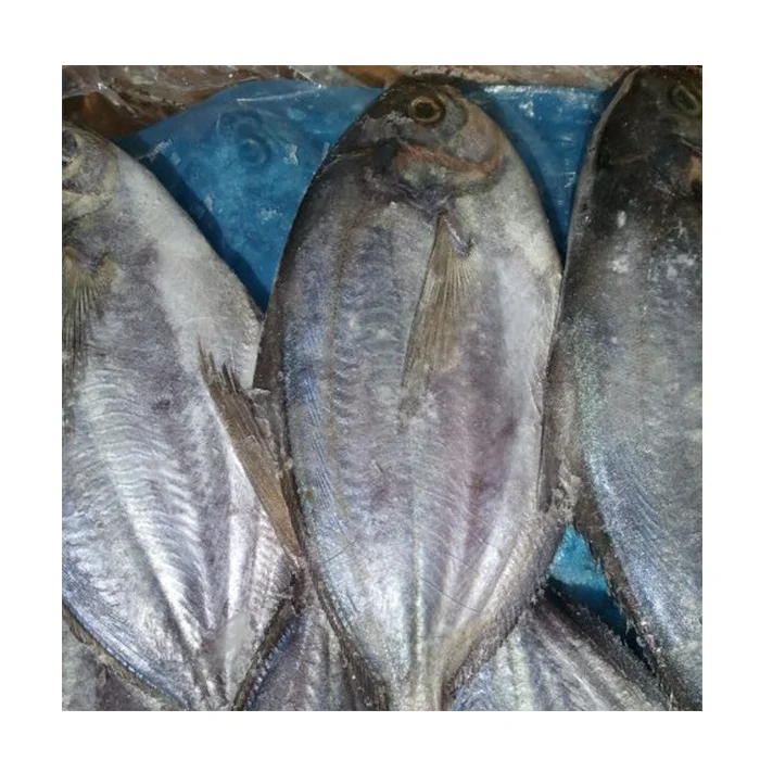Frozen butter fish