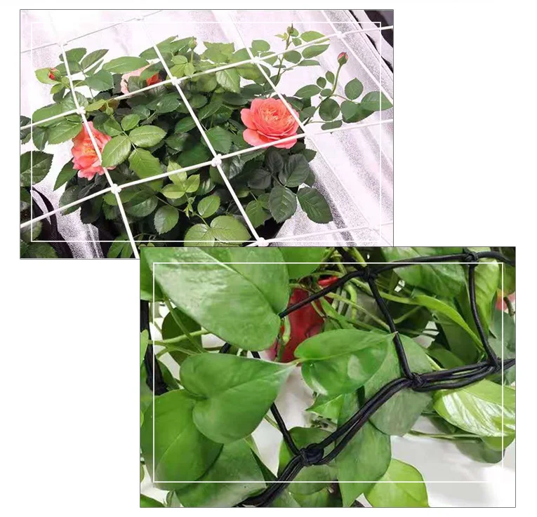 Gardedn plastic polypropylene trellis netting for support climbing plants