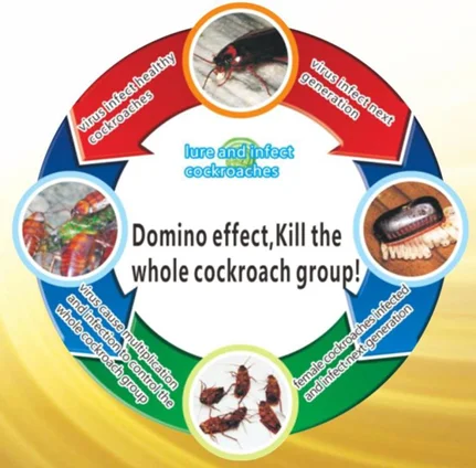 paste-pic-dp_uuid_obohy