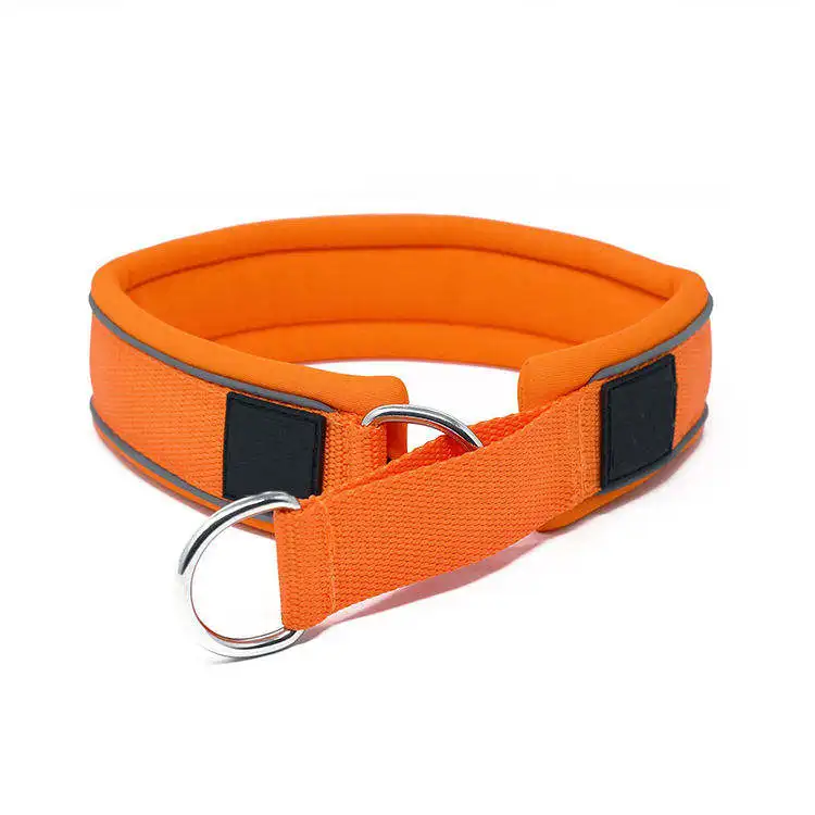 Factory Recommend Training Dog Collar Super Soft Neoprene Lining Nylon Reflective Pet Dog Collar For Outdoor