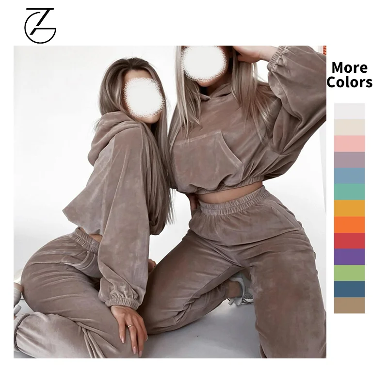 High Quality Velvet Blank Crop Top Tracksuit Solid Women Sweatsuit Custom Sleeve Two Piece Women Hoodie Set