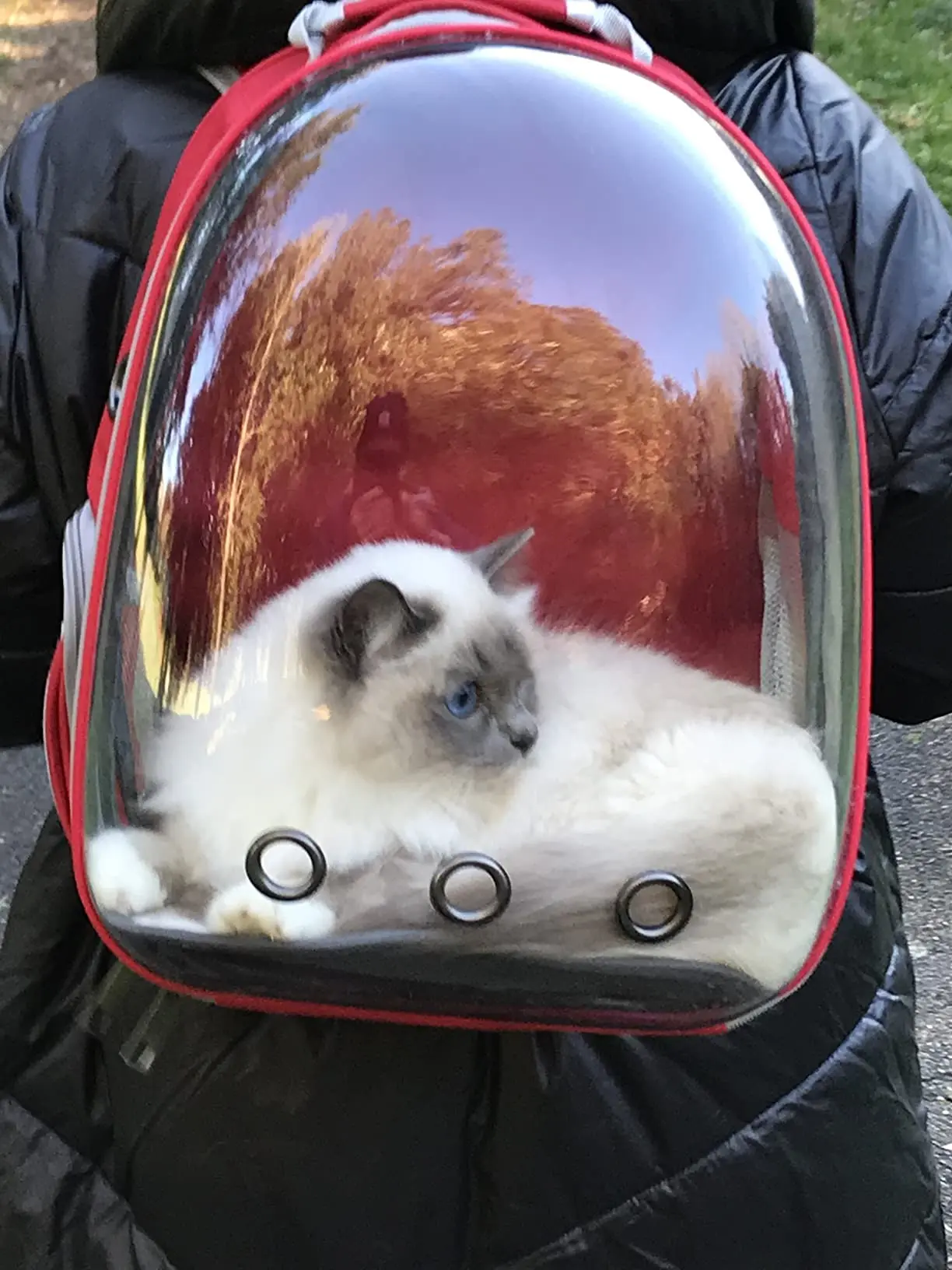 Breathable Large Capacity Pet Backpack Transparent Capsule Backpack Travel Portable Space Capsule Double Shoulder backpack