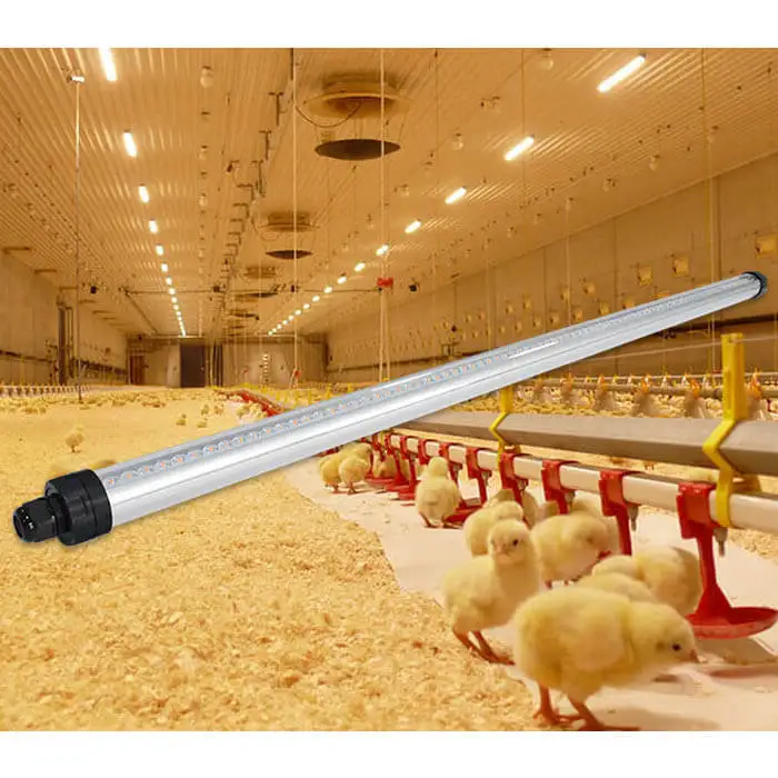 Chicken Farm Led Tube Light Waterproof Dimmable  corrosive-gas resistance Lights For Poultry Tube Lamp