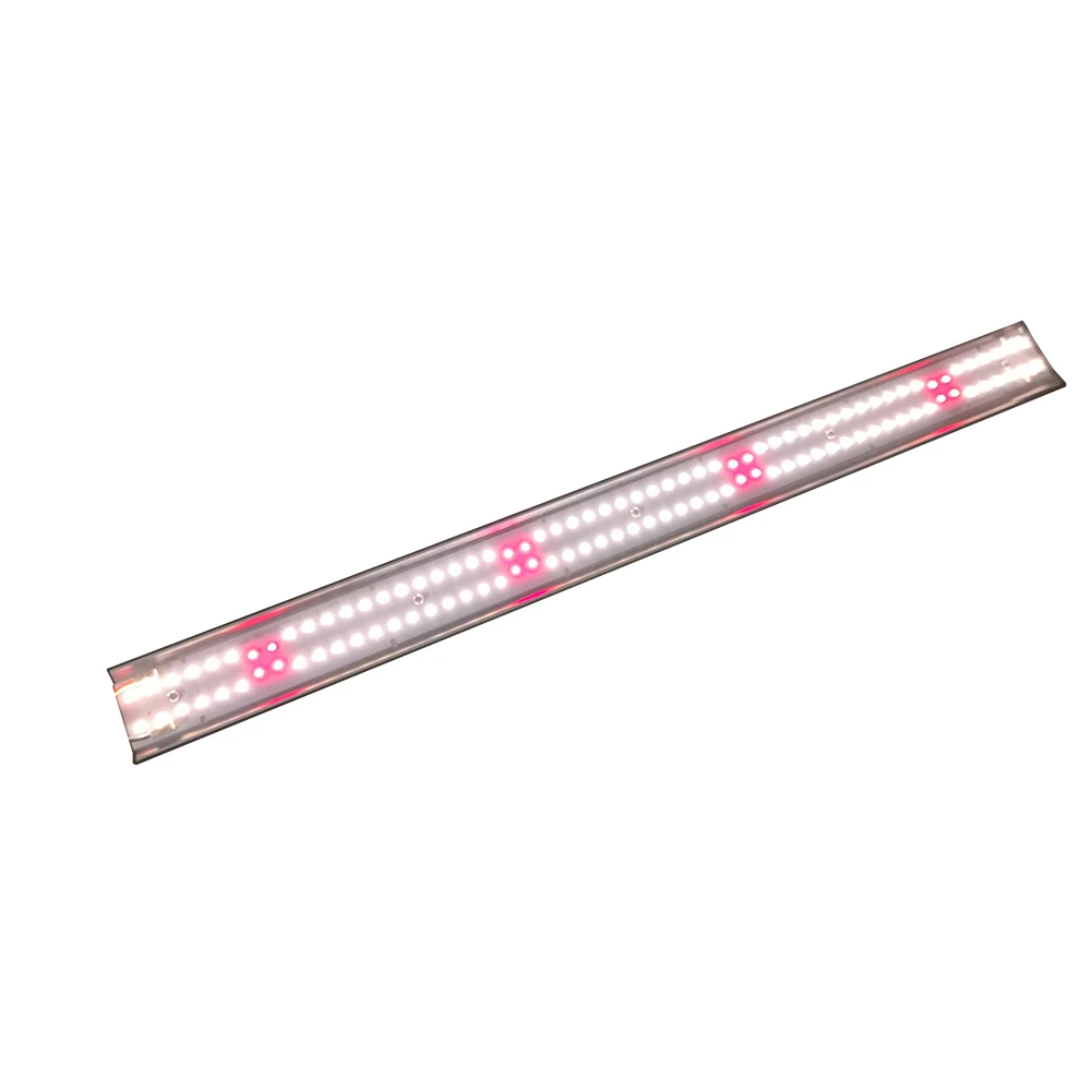 R2TGrow Flexible 240W Vertical Lighting 4x60W Samsung LM301H+Deep red 96+16LED V2 Sunbar+ LED Grow Lights Bar Kit for Blooming