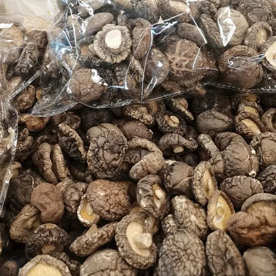 bag Packaging Dried Shiitake Mushroom Snack /Slices/Whole support customized packaging