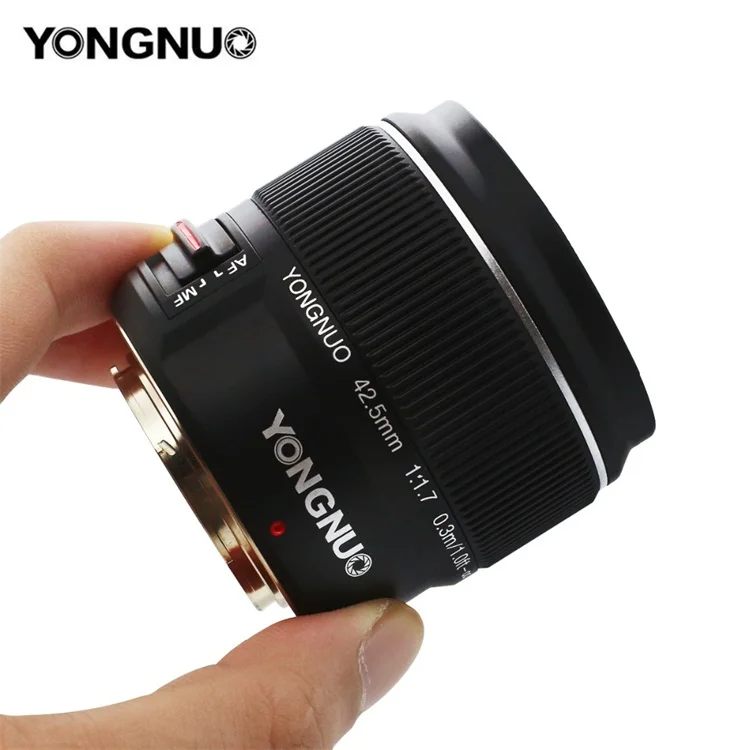  Yongnuo yn42 5 мм F1.7 Macro 4/3 системный интерфейс Большая диафрагма AF/MF Автофокус стандартный объектив с фиксированным фокусом легко размытый