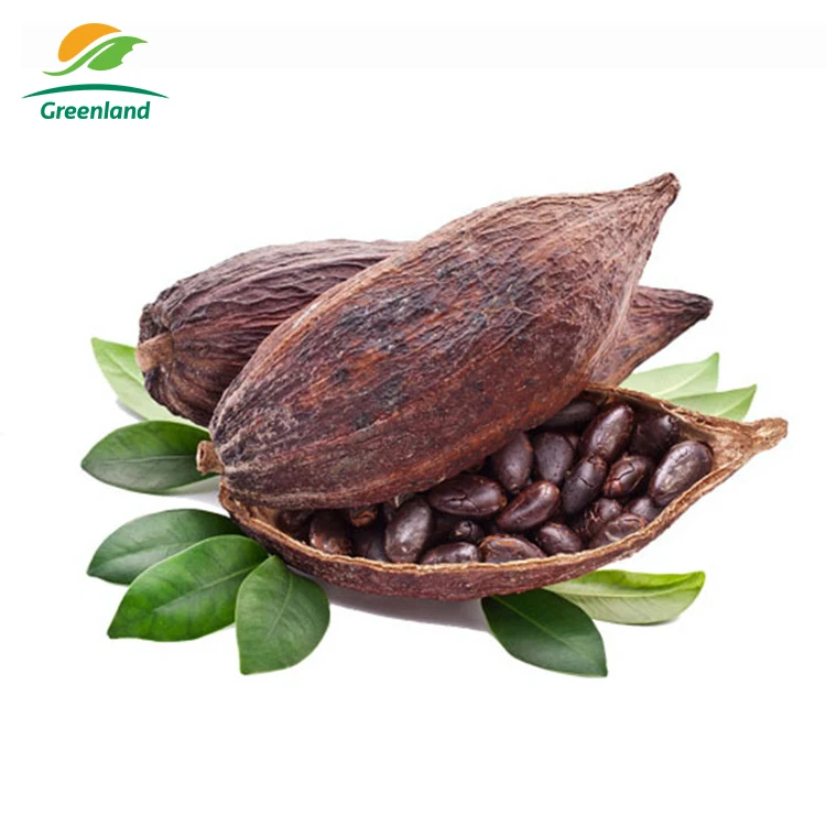 Palmers Cocoa Ingredients Extract Theobromine  Cocoa Butter Bean Powder Price