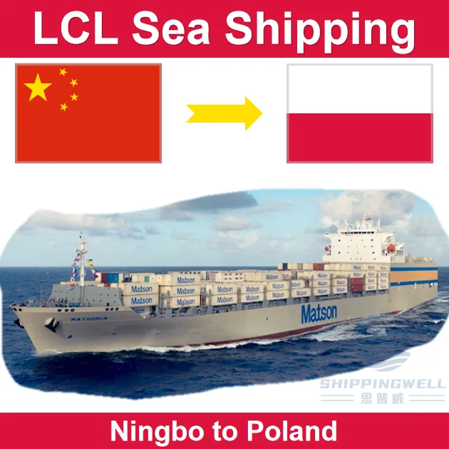 LCL From Shenzhen Guangzhou Shanghai Ningbo China to Poland Sea Freight Shipping by Door to Door and Customs Clearance Services