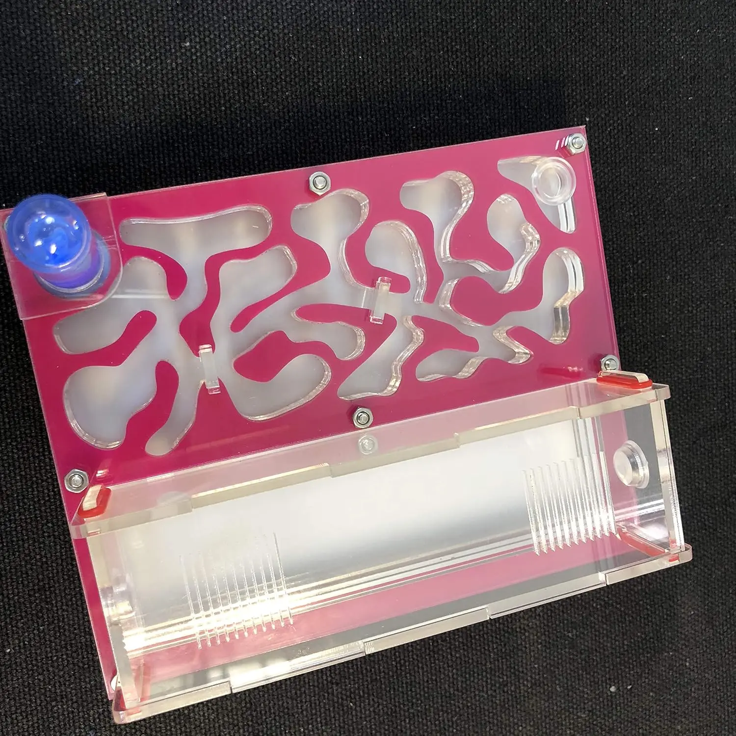 Hot selling small acrylic ant breeding box ant rest house nest ant for display only