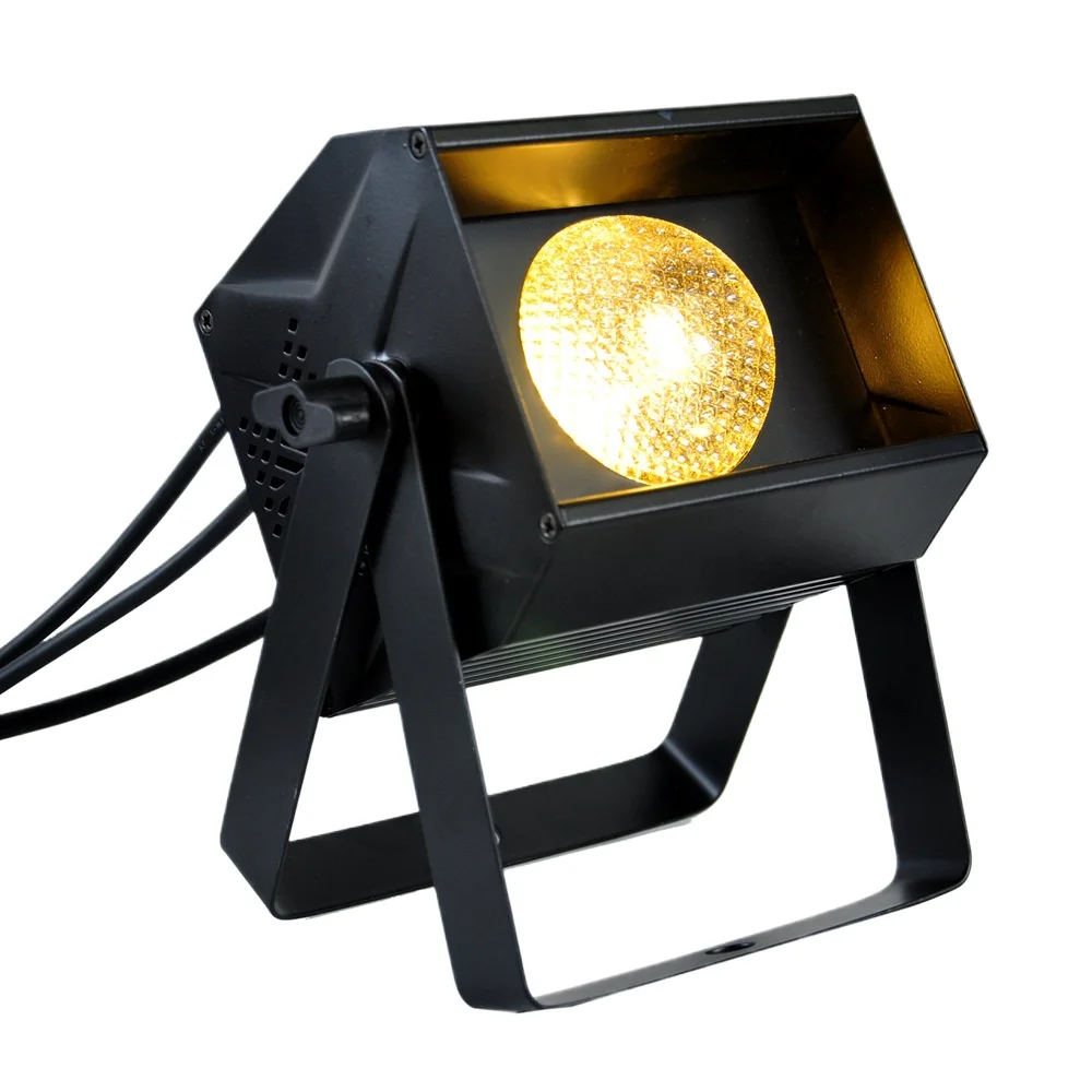 Mini Rgb 100W Dmx 512 COB LED Par Can Light For Stage Theater Ballroom Wedding Par Light
