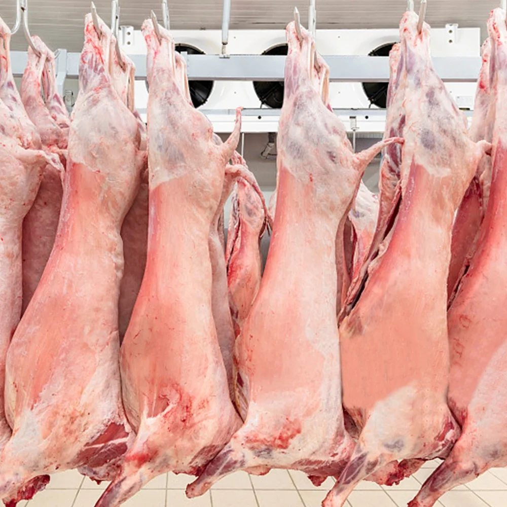 Commerical cold storage condensing unit fish vegetable  chicken deep freezer/refrigeration  cold storage