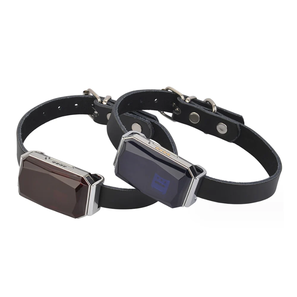 YHpet Real Time Tracking Smart Pet Collar GPS Tracker for Dog Cat