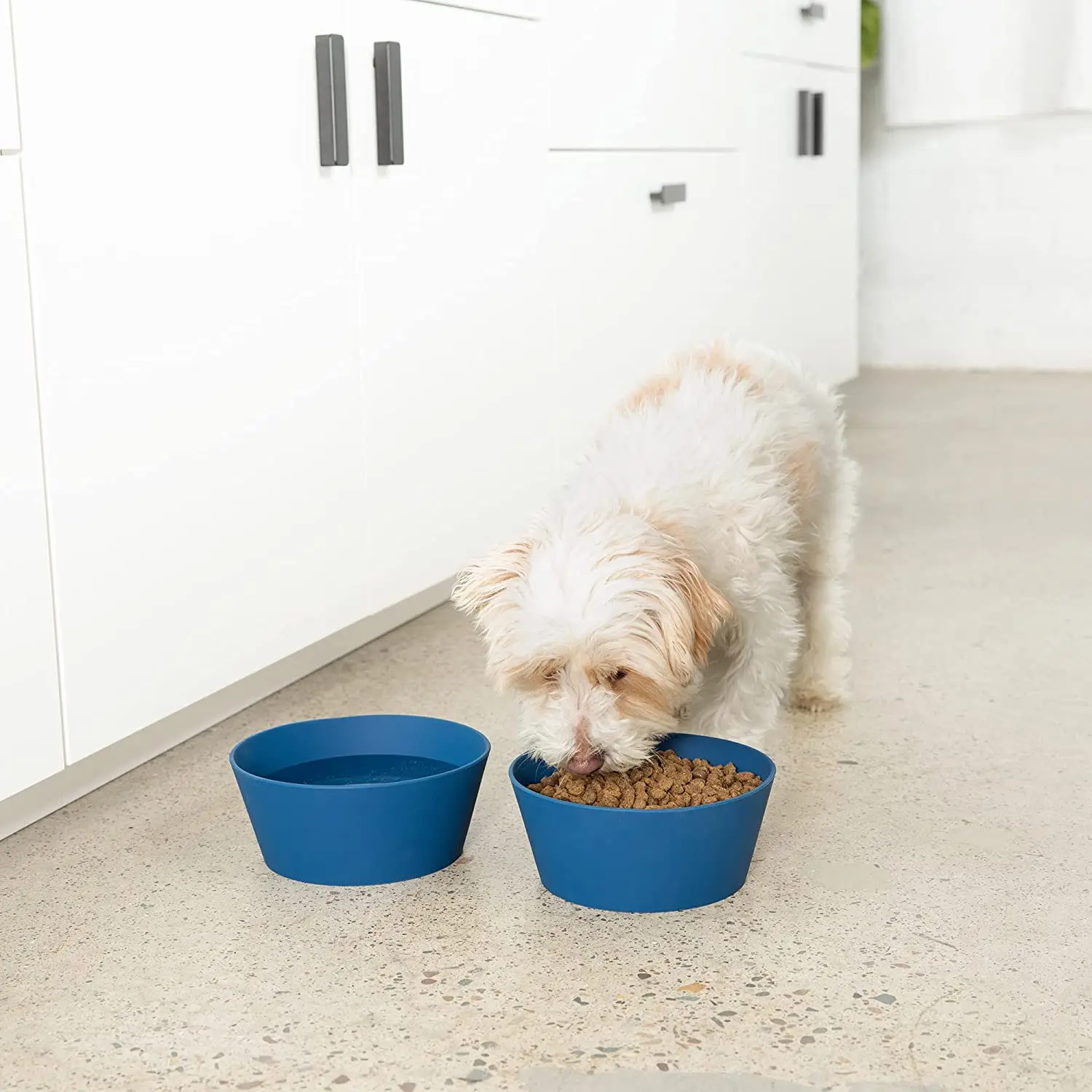 Silicone Dog Bowl for All Breeds Durable Pet Food and Water Dish Crock