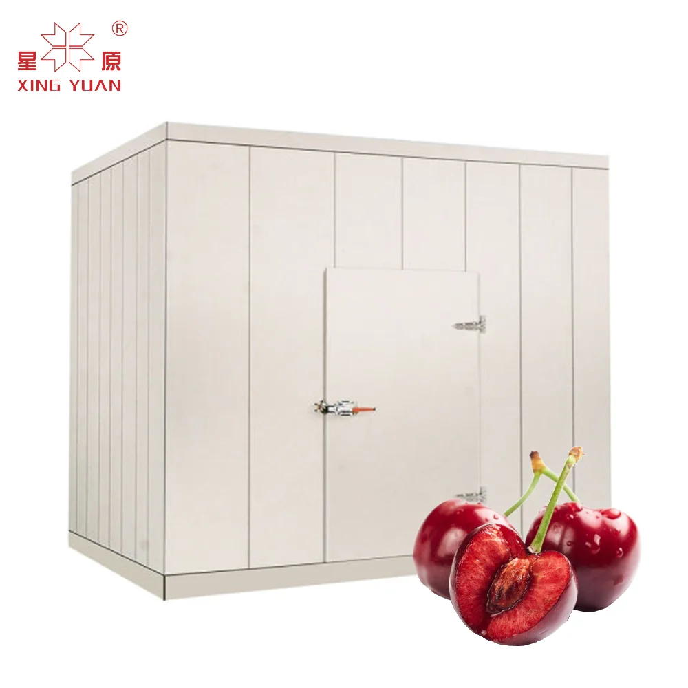 China Factory Seller commercial easy to install walk in freezer cold room kit set