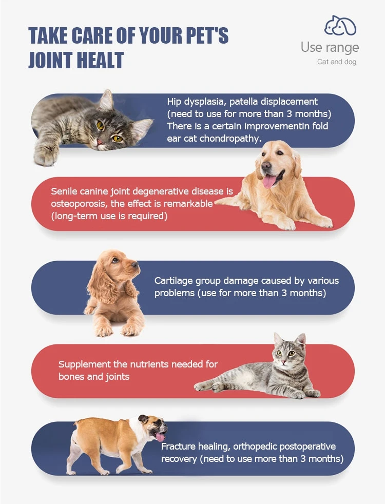 
2021 Pet Digestion Balance Supplement Probiotic pet Constipation Probiotics 