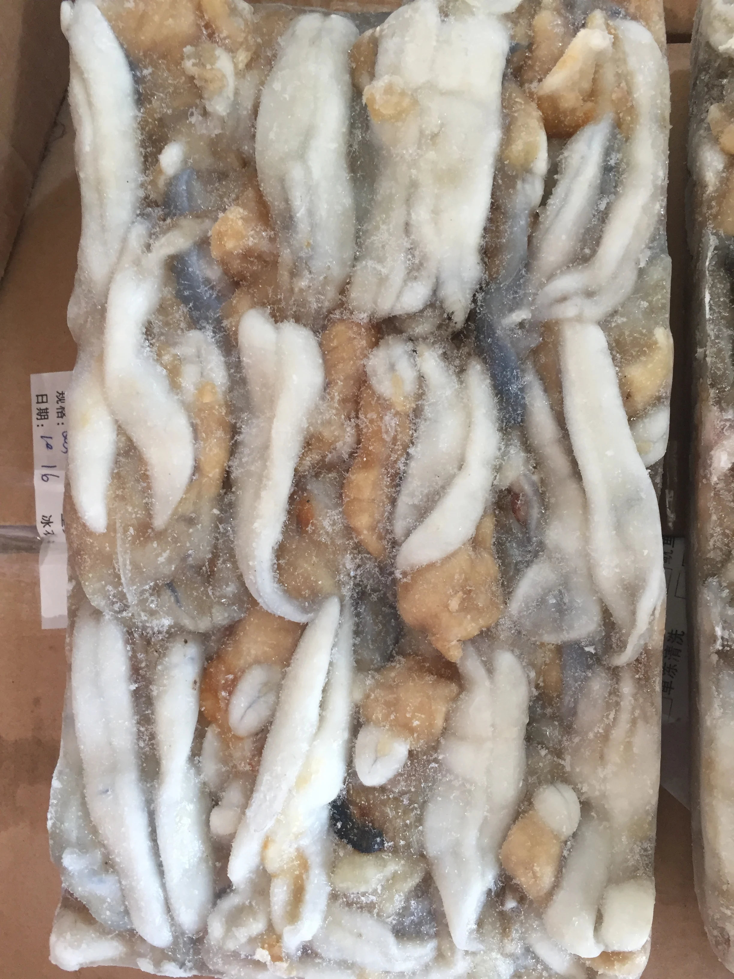 frozen Japanese flying squid roe