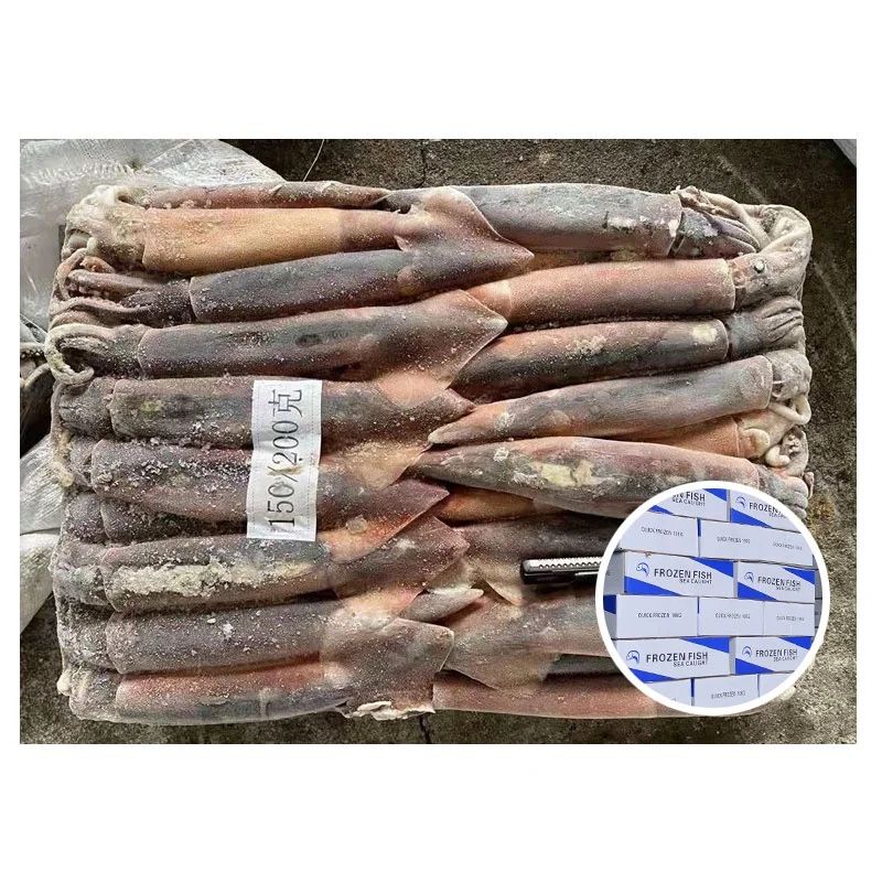 W/R мультфильма «Холодное сердце Аргентина Illex кальмар