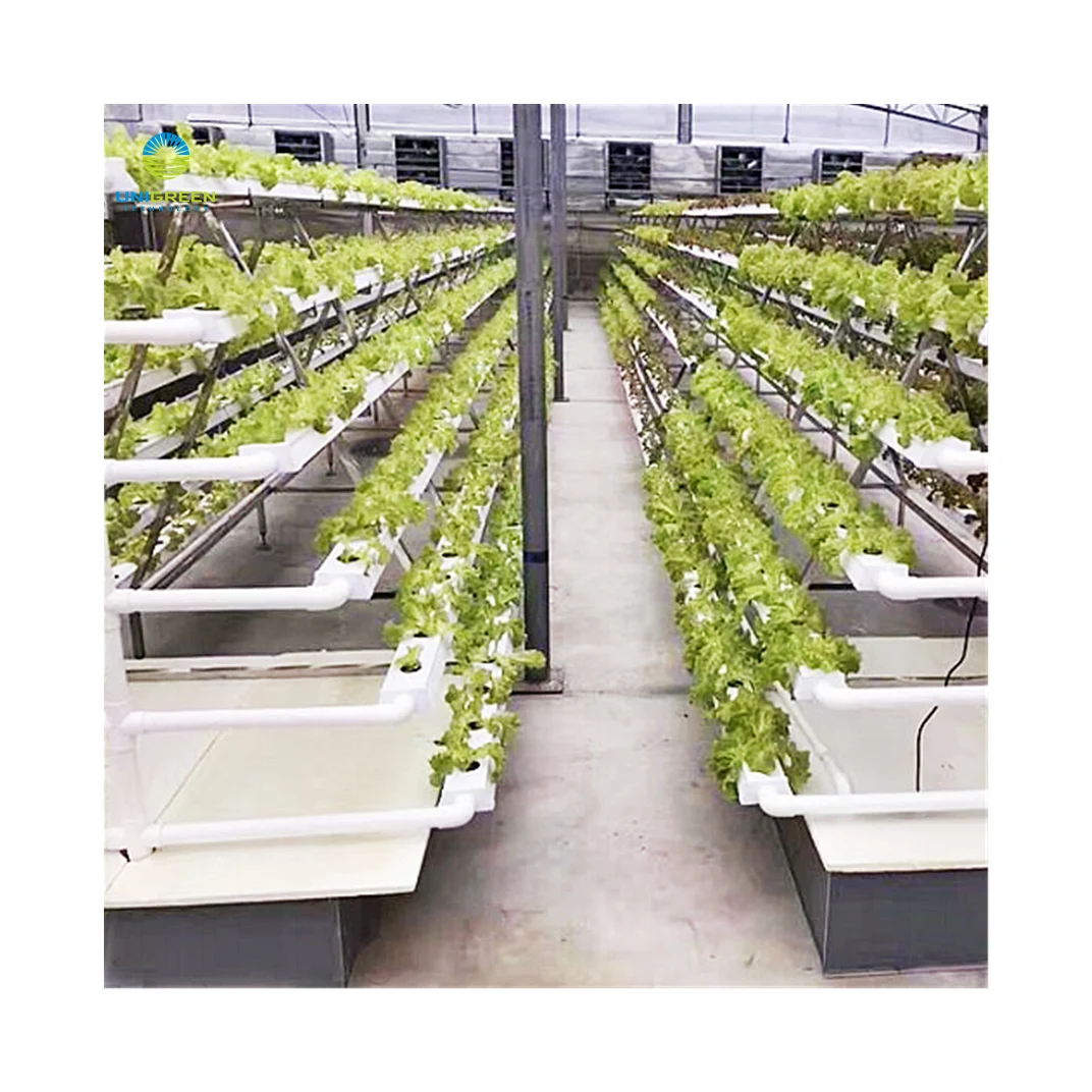 NFT System Rack Hydroponic Greenhouse Lettuces A-type NFT Channel Vertical Farm Equipment NFT System Rack Hydroponic Grow System