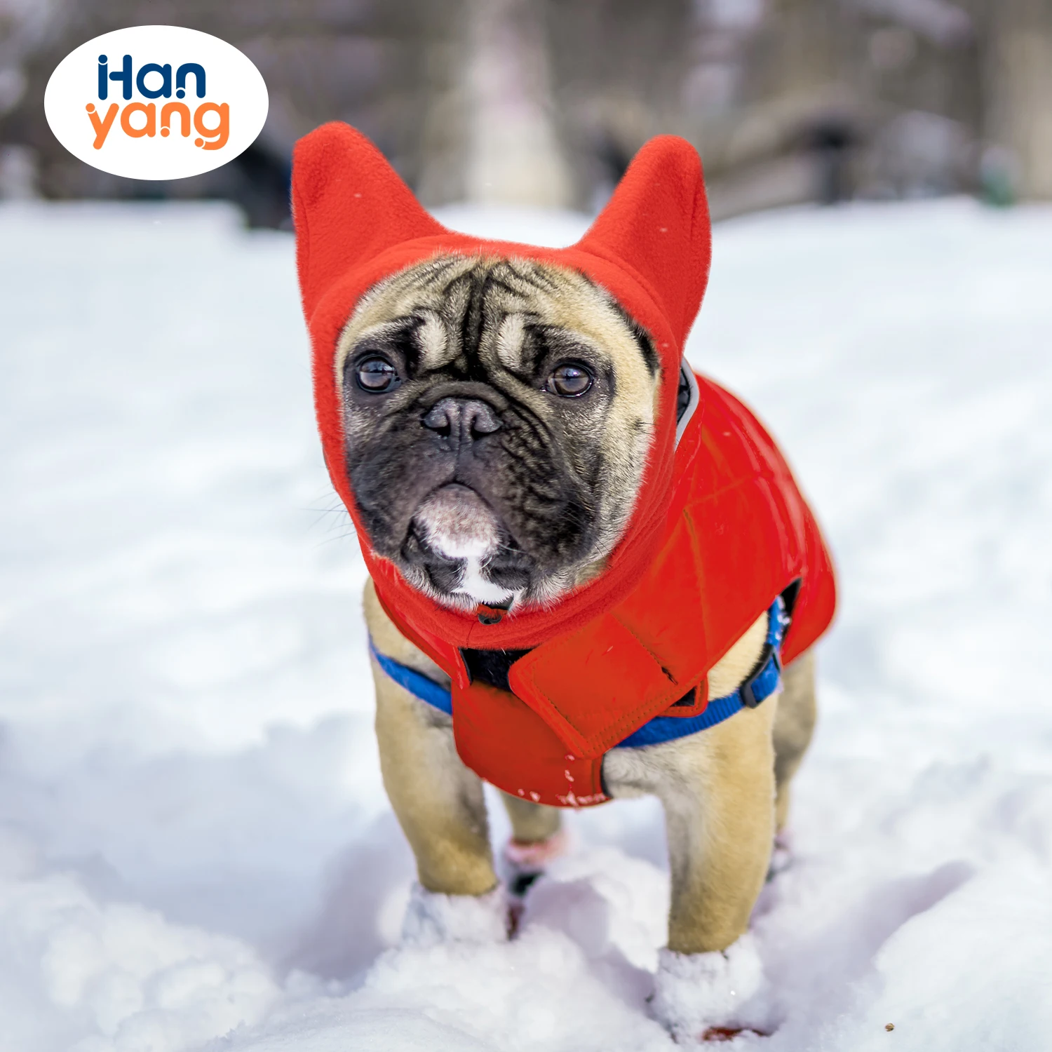 HanYang OEM Custom Adorable Headdress Pet Dog Cute Warm Bear Hat Cap For Cat Cute Ear Costume Cat Hat