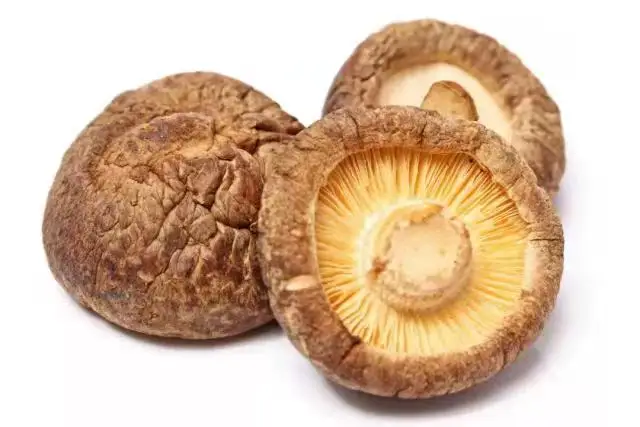 High Quality Shiitake Spawn Biodegradable Mushroom Dried Shiitake Mushroom Slice  Dry Mushrooms