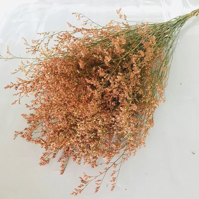 Засушенный цветок желтая влюбленная трава лимоний цветок для декоративных цветов и венков