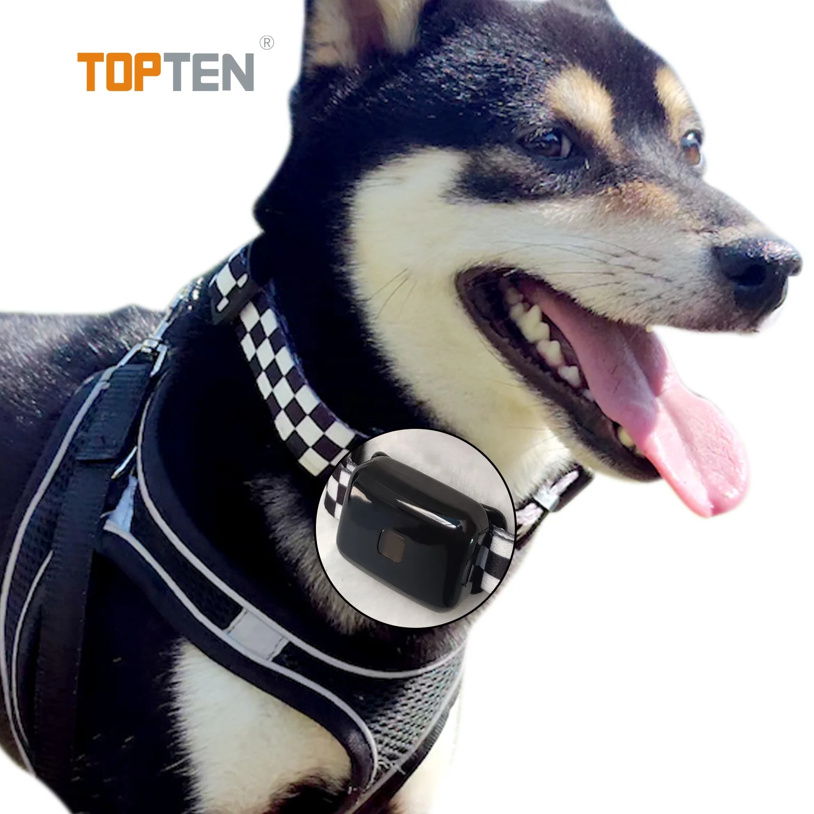 Smart Pet Collar GPS Tracker Portable Dog Collar GPS Tracker Positioning Real Time Pet Tracker  PT07(TN)