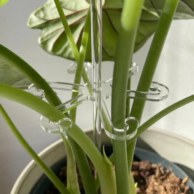 Acrylic Plant Stem (2).jpg