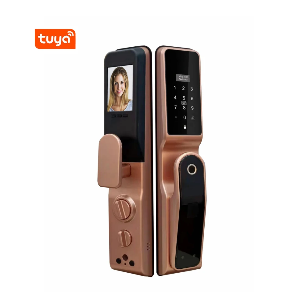 Huarui  keyless digital Oem smart lock Home Electronic Electric Tuya APP Wifi Smart Lock,Digital Biometric Fingerprint Door Lock