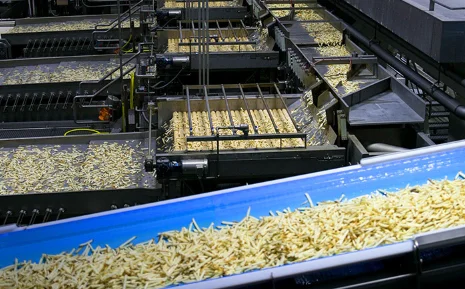 304 Stainless Steel Automatic Small Potato Powder Chips Machine Making