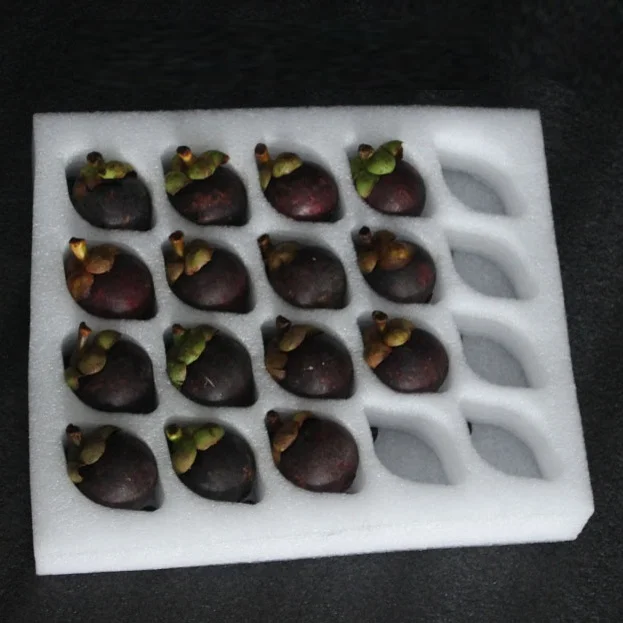 Custom Epe Foam Tray Insert Fruit And Egg Protection Transport Package Pearl Cotton Eva Sponge Packaging Material