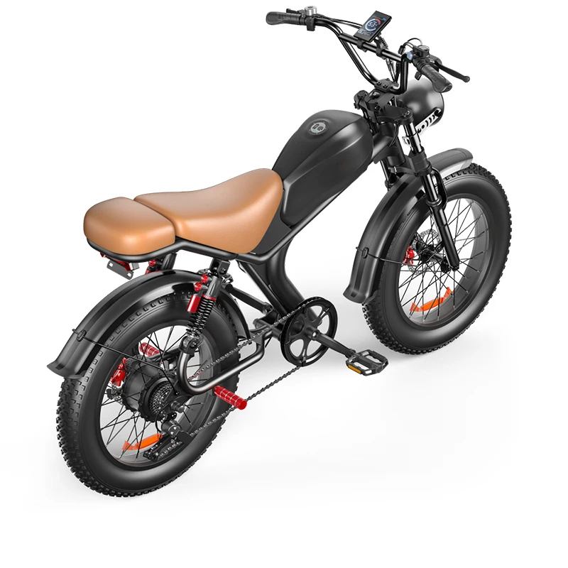 7-Speed 20 Inch Full Suspension Folding Fat Tire E Bike Ebike Fatbike Electric Bicycle Big wheel hub Motocross