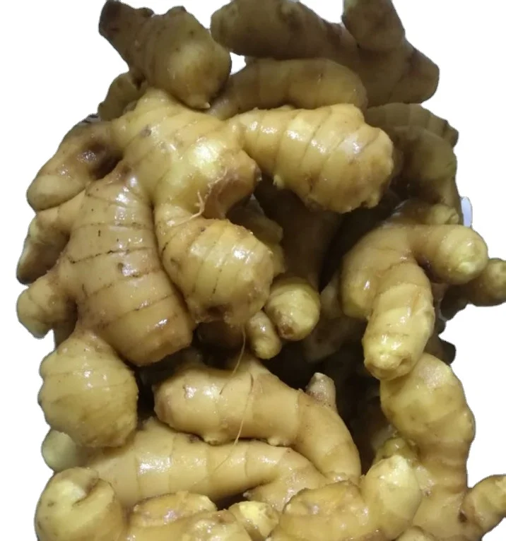 Chinese superior fresh /air dry ginger