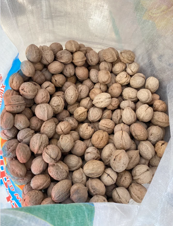 On sale Ceviz cheap fresh or dried biggest walnut organic bulk snack walnut