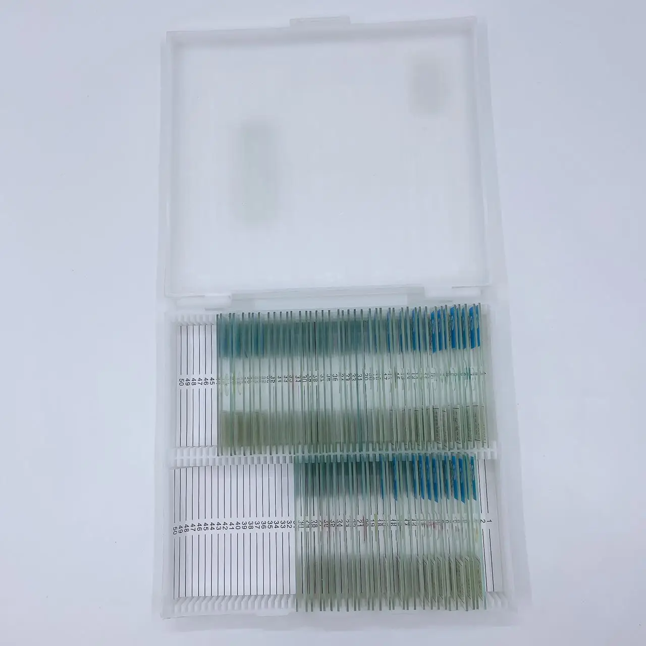 70 Slices Of Biological Tissue Slides Wooden Case Packing For Basic Biological Science Education Microscope Biological