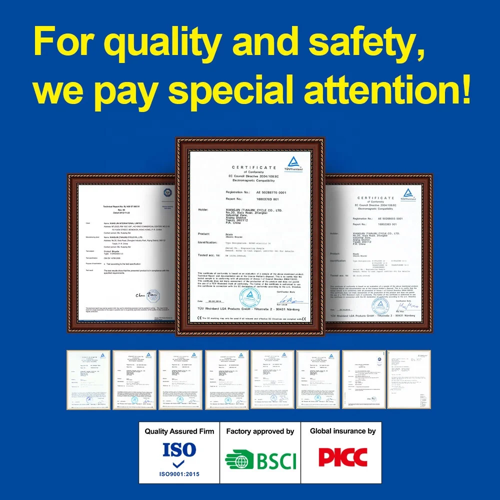 TXED Hot Selling Fast Electric Bike Food Delivery Ebike For Delivery Business