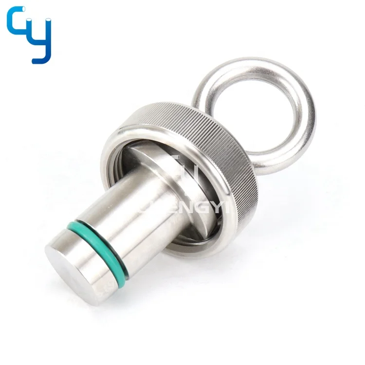 Sanitary stainless steel Plug ingold with ring hanger for PH DO electrode probe nozzle