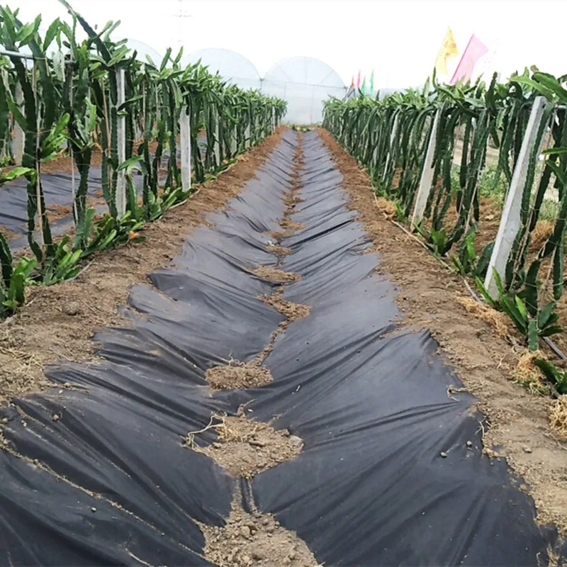 100% Polypropylene Landscape Non Woven Fabric Anti Grass Weed Mat Agriculture Pp Nonwoven Fabric can be customized