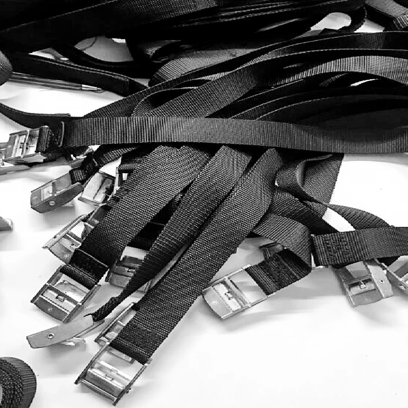Gacent Webbing Manufacturer Customizable High Quality Nylon Polyester PP Cargo Cam Buckle Tie Down Lashing Strap Luggage Belt