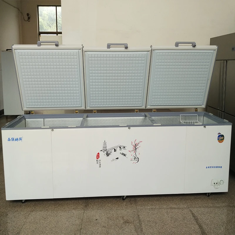 Commercial Single-Temperature Horizontal Freezer Display Chiller 220V Air Cooler Compressor Convenience Store Use