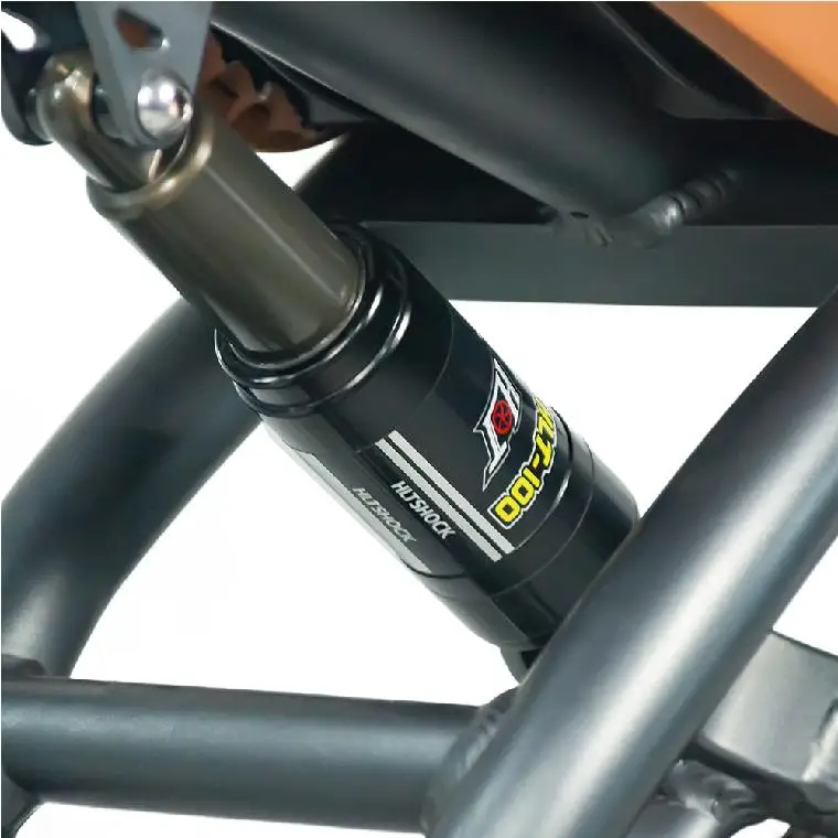 Manufacture 750w Electric Bicycle Lithium Battery Aluminum Frame 20inch Wheel Size Electric Mountain Bicycle Bike
